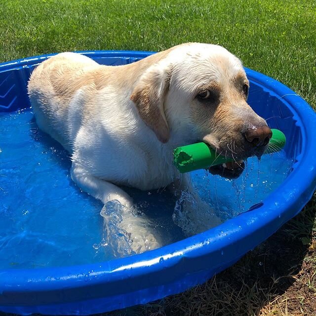 I get it, Levi. Your pool, your toy. Lose the look.